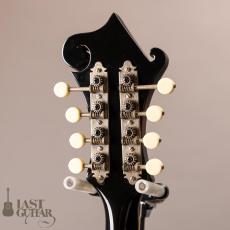 Loar LM-600 VS_6