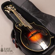 Loar LM-600 VS_12