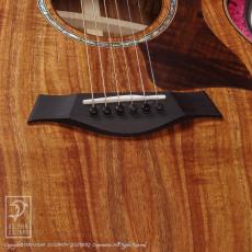 Taylor 722ce (Hawaiian Koawood)_11