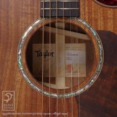 Taylor 722ce (Hawaiian Koawood)_12