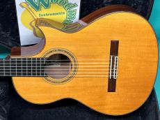 Larrivee C-30E_2