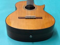 Larrivee C-30E_11