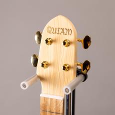 Quiam Elevocco Concert_5