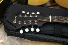 Eastman  MD-315 with PU アンプに繋げる マンドリン　イーストマン　MD315　mandolin_4