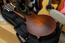 Eastman  MD-315 with PU アンプに繋げる マンドリン　イーストマン　MD315　mandolin_5