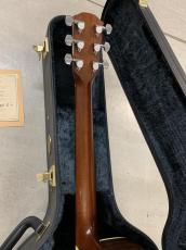 Shelly Handcrafted by K.Yairi  SY-M20 Toshiaki Usui ピックアップ付き!_11