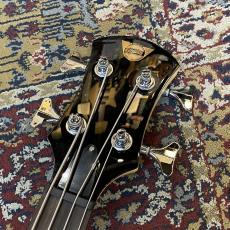 Pignose PGB-200 - Candy Apple Red -_6