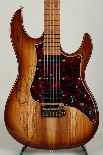 FUJIGEN Expert ODYSSEY EOS2-EW1-HS-RM/HCB【S/N J250159】