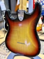 Fender 1974 stratocaster【中古】_9