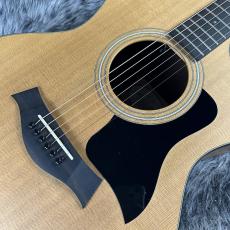 Taylor 114ce ES2_3