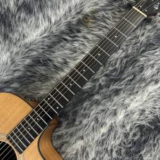 Taylor 114ce ES2_4