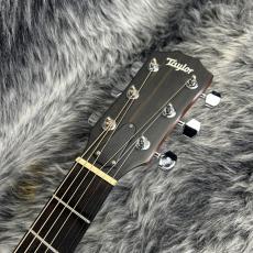 Taylor 114ce ES2_5