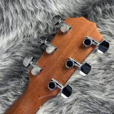 Taylor 114ce ES2_9