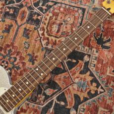 Fender 75th Anniversary Player II Telecaster Rosewood Fingerboard / Diamond Dust Sparkle_5