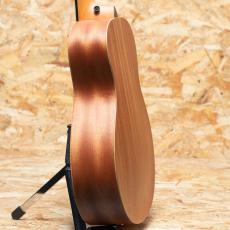 Taylor GS Mini-e Special Edition Honeyburst_5