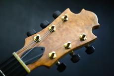 Nishgaki Guitars  Arcus Fin Hole  初期型 _2