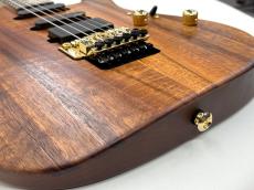 Suhr Reb Beach Signature Standard II【最新仕様!】【軽量3.43Kg】【ハイエンドフロア】_3
