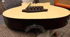 Godin 2015 A5 Ultra Fletless_9