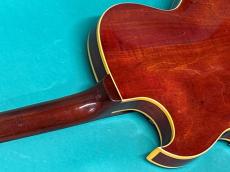 Gibson ES-125 TDC_9