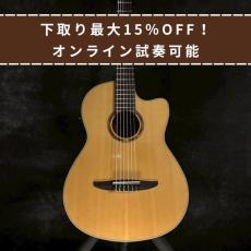 YAMAHA NCX900FM_2
