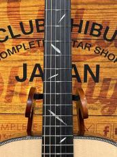 Headway 	【試奏動画あり】The Eagle/ATB Type D【薄めのESV-Customネック】【48回払い無金利】_4