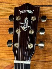 Headway 	【試奏動画あり】The Eagle/ATB Type D【薄めのESV-Customネック】【48回払い無金利】_5
