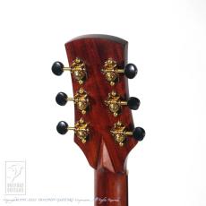 Fonzo Guitar V301S SJ Full Body_12