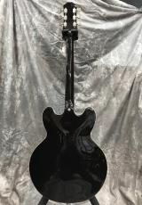 Epiphone Jim James ES-335_3