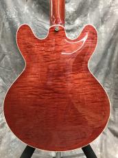 Collings I-30 LC_7