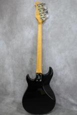 YAMAHA BroadBass 800_3