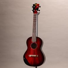 KIWAYA KTT-3/cst