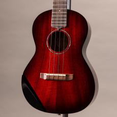 KIWAYA KTT-3/cst_2