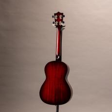 KIWAYA KTT-3/cst_12