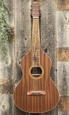 GOLD TONE GT-Weissenborn_2