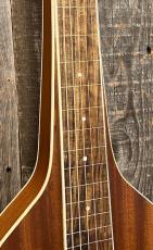 GOLD TONE GT-Weissenborn_4