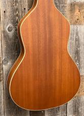 GOLD TONE GT-Weissenborn_7