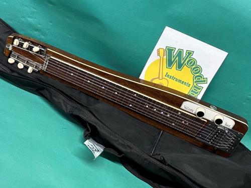 Teisco 6N