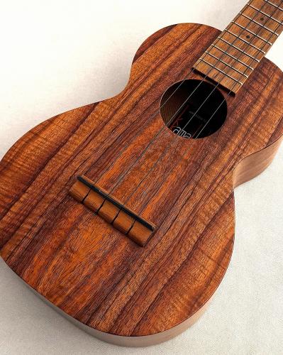 Kamaka 【New Model!!!】 HF-2 Kukui #26K0036【コンサート/ハワイアンコアトップ単板】