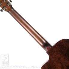 Eastman E1-OMCE-Special_6