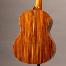 Giannini Cavaco Estudio_9