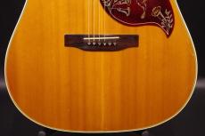 Gibson HummingBird_9