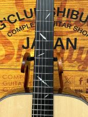 Headway 【試奏動画あり】The Eagle/ATB Type F【薄めのESV-Customネック】【48回払い無金利】_4