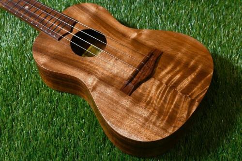 Kelii C-G/V Concert【USED】