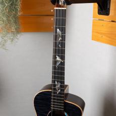 aNueNue aNN-Bwhale Baritone_6
