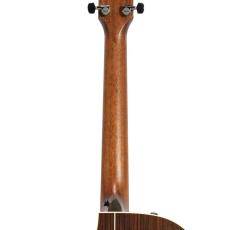 Taylor 814ce V-Class *2024_9