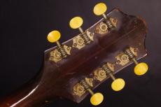 Epiphone Zenith_5