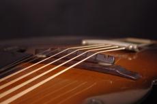 Epiphone Zenith_6