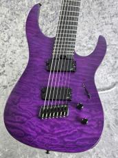 Legator N7FSS 「MAGENTA」「7弦モデル」  For Shred Player !!
