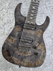 Legator N8SS 「Gross Black Burl」  8弦モデル
