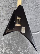 ESP ALEXI RIPPED【Alexi Laiho Signature Model】チョイ傷アウトレット特価品_3
